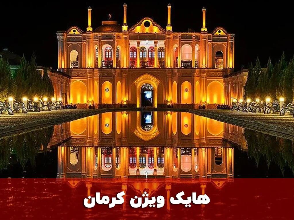 هایک ویژن کرمان
