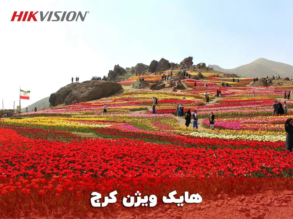 هایک ویژن کرج