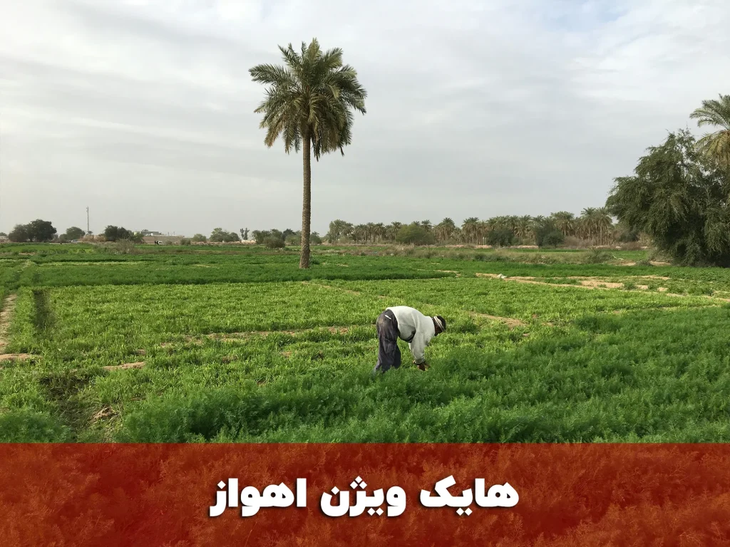 هایک ویژن اهواز