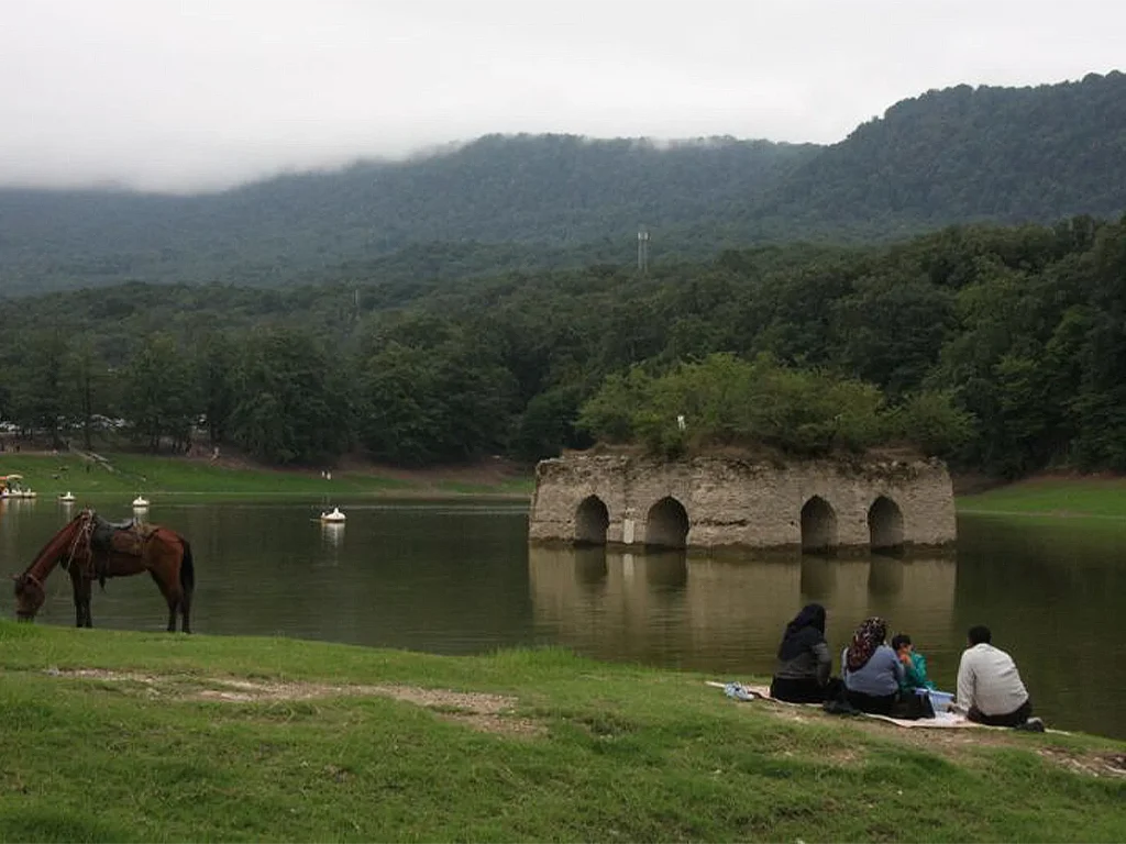 معرفی خدمات نمایندگی هایک ویژن در عباس‌آباد