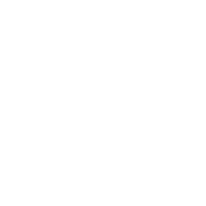 بهترین‌های هایک ویژن